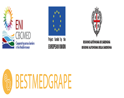 en bestmedgrape